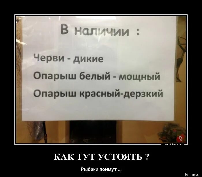 Как тут устоишь