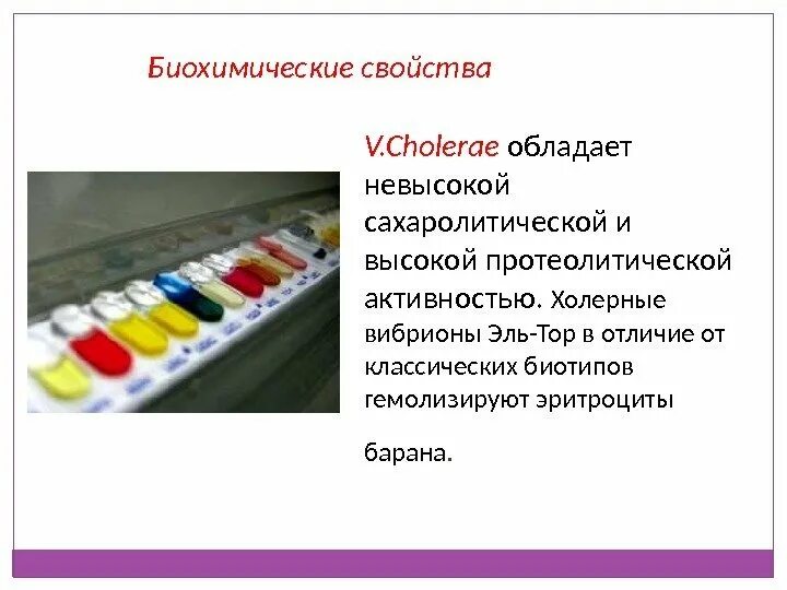 Биохимические свойства холерного вибриона. Среды на биохимические свойства микроорганизмов. Биохимическая активность холерного вибриона. Среды для изучения сахаролитических свойств. Сахаролитическая активность бактерий