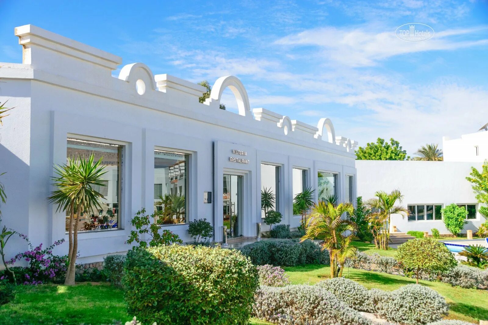 Олд вик шарм 4. Old vic sharm resort 4. old vic sharm 4 шарм-эль-шейх. old vic sharm resort 4* (хадаба). шарм-эль-шейх / sharm el sheikh old vic sharm resort 4*.