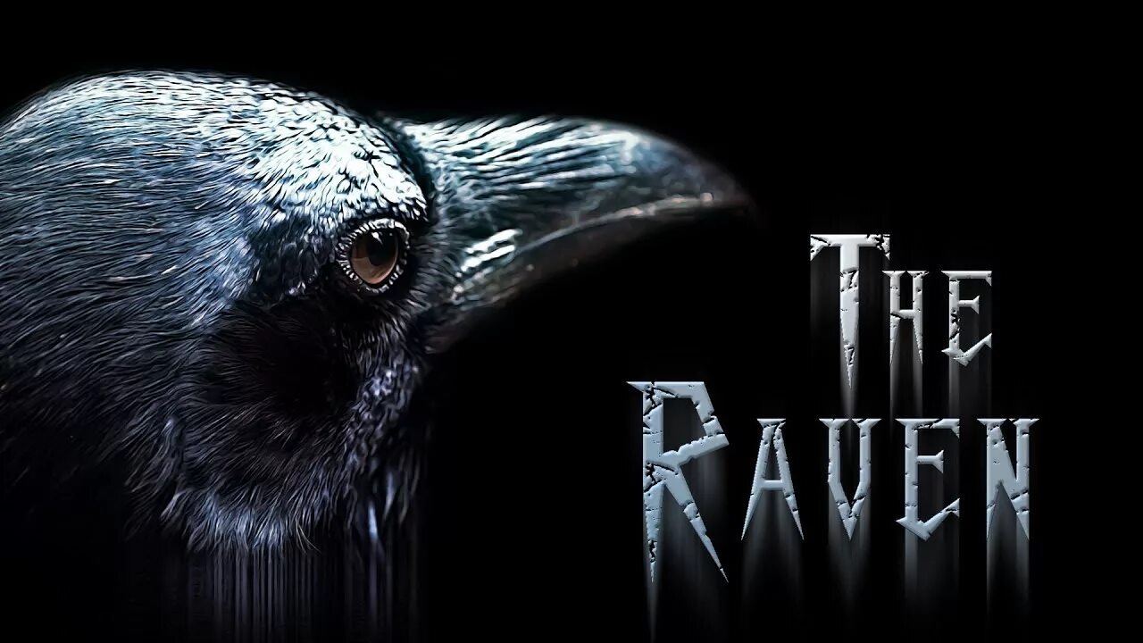 Raven poe. Raven Nevermore. Edgar POE Raven. The Raven Edgar Allan POE.