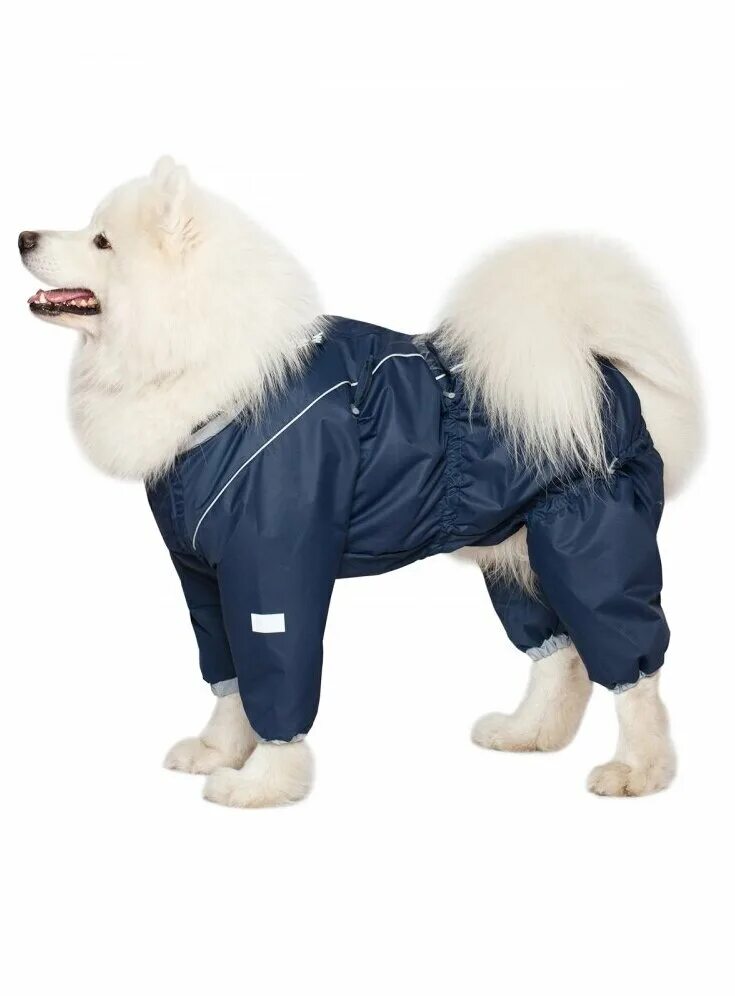 комбинезон зимний "йорк", 22см, gamma. комбинезон для собак limargy. комбинезон для собак кобель. озон комбинезон для собак мелких пород. озон комбинезон для собак мелких пород.