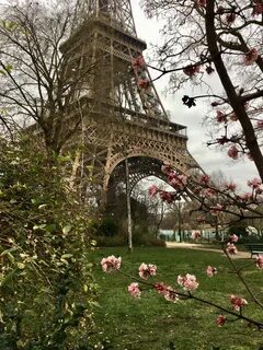 Paris g