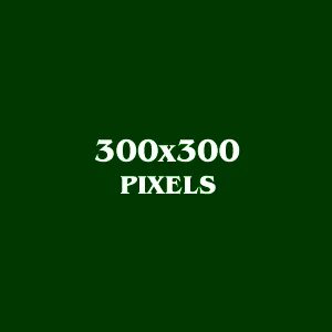 140 300 300 300 220