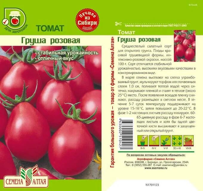 Томаты груша отзывы. Сорт томатов грушовка. Томат сибирская груша красная. Томаты сорт груша розовый. Томат фиолетовый джаспер.