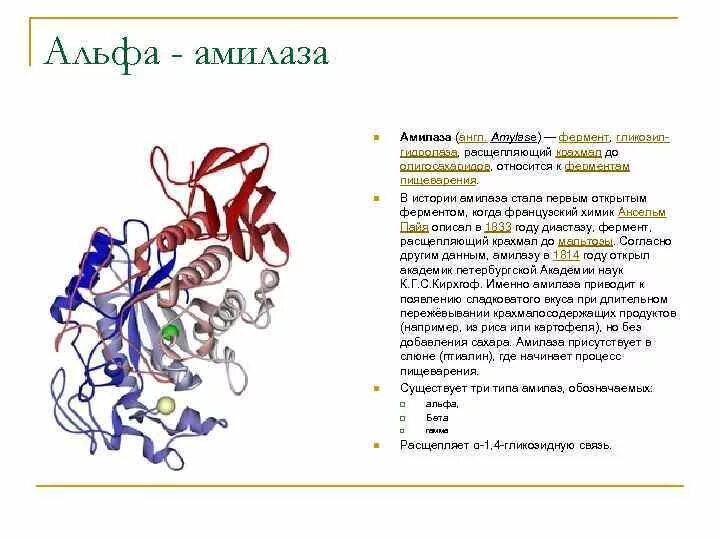 Фермент альфа амилаза. Амилаза строение фермента. Альфа амилаза строение. Фермент амилаза формула. Α-амилаза строение.