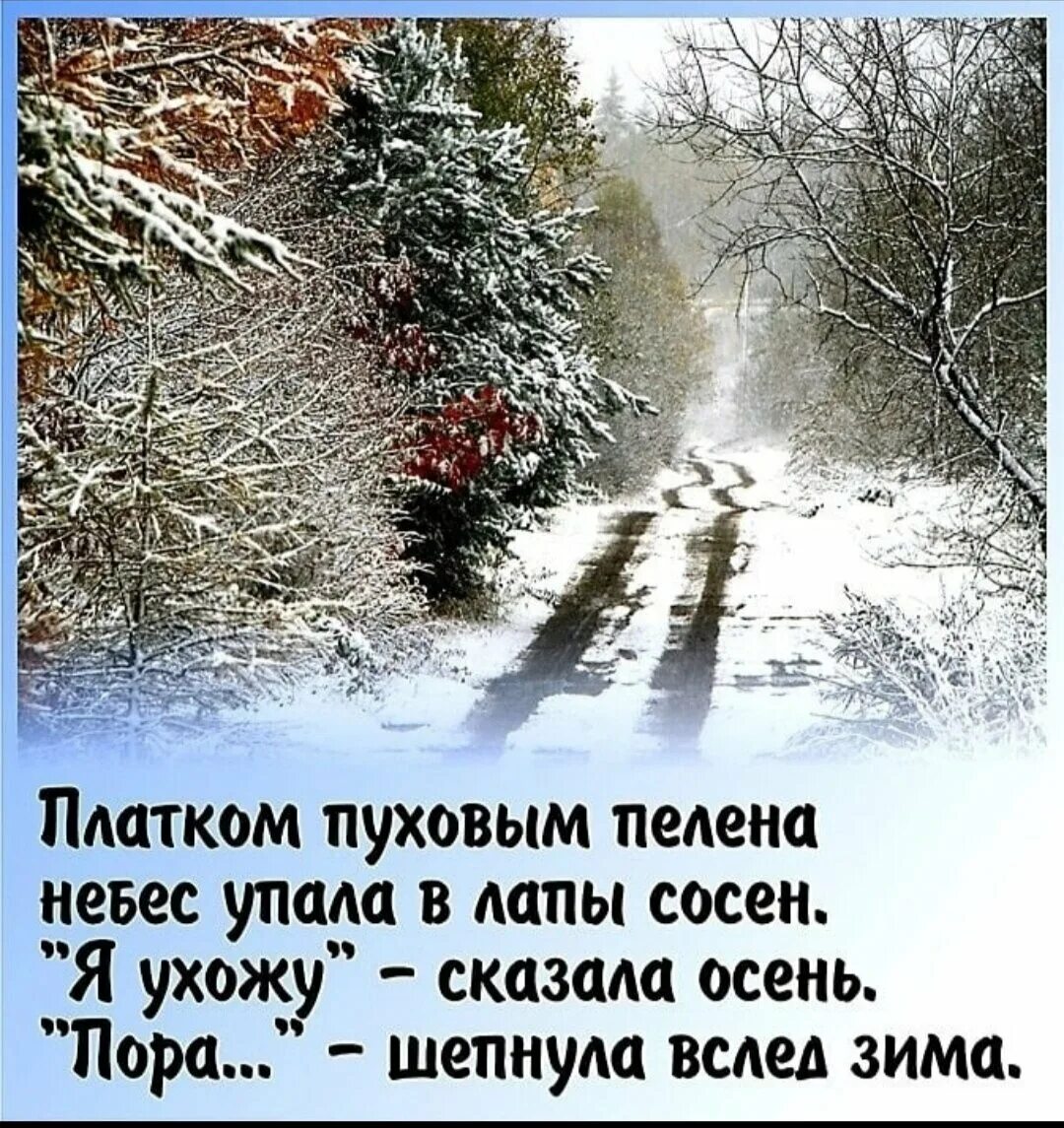 В пелене января. Зимние цитаты. Зимние афоризмы. Цитаты про зиму. Зимние пейзажи с пожеланиями.