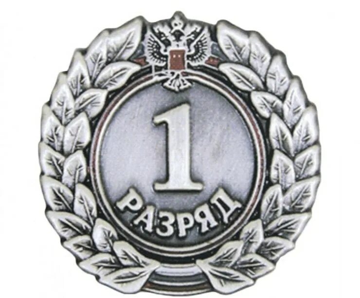 первый спортивный разряд значок. первый взрослый спортивный разряд. 1 разряд значок рф. что такое единица первого разряда в математике 4 класс. первый взрослый спортивный разряд.