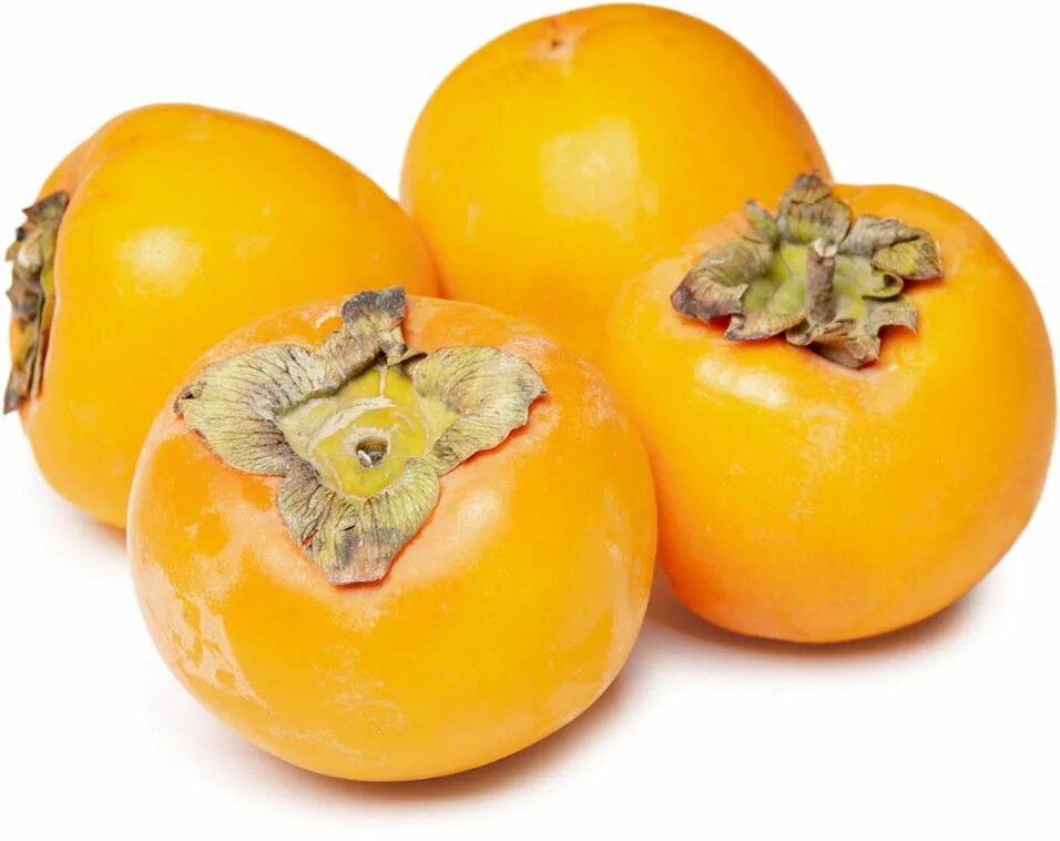 Хурма шоколадная королек. Хурма королек отзывы. Хурма янтарная королек. Хурма сорта мандаринами. Хурма шоколадная королек.