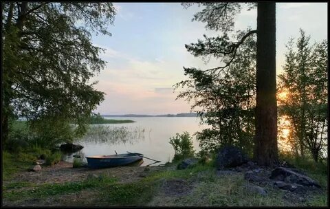 Погода светлое ленинградская область