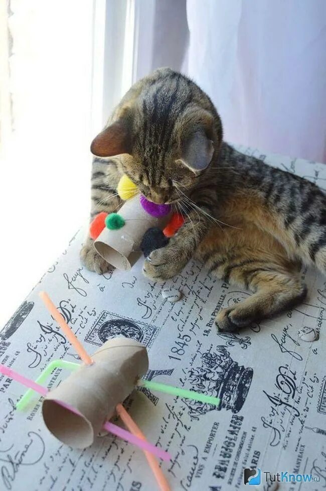 Как сделать игрушку для котенка своими руками. Самодельные игрушки для котят. самодельная игрушка для кота. игрушки для котов своими руками. самодельные игрушки для катав.