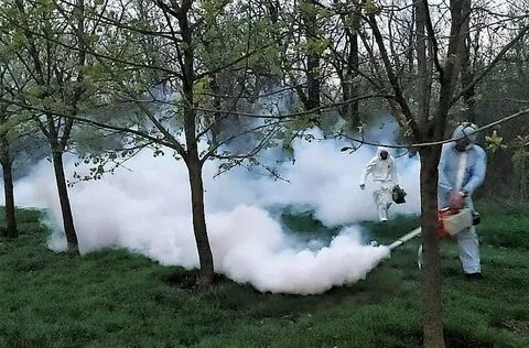 Клещи в дождливую погоду