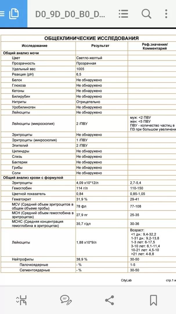 Ответы Mail.ru: Расшифровка анализа мочи