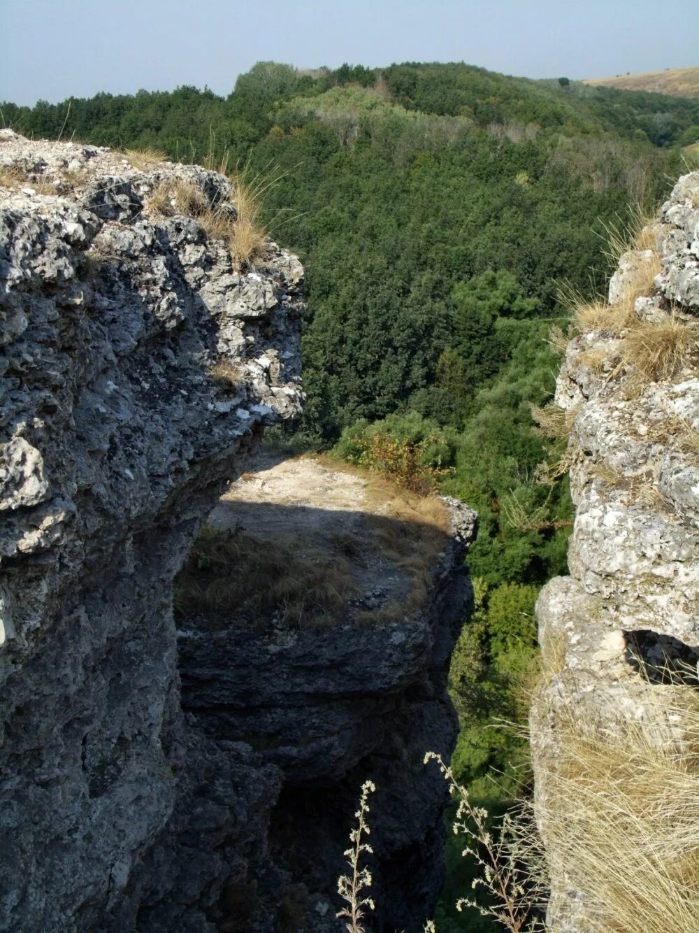 Варгольские скалы липецкая область. Заповедник воргольские скалы. Воргольские скалы в липецкой. Варгольские скалы липецкая область. Варгольские скалы липецкая область.