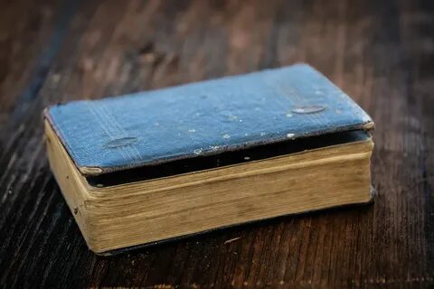 Синяя книжка