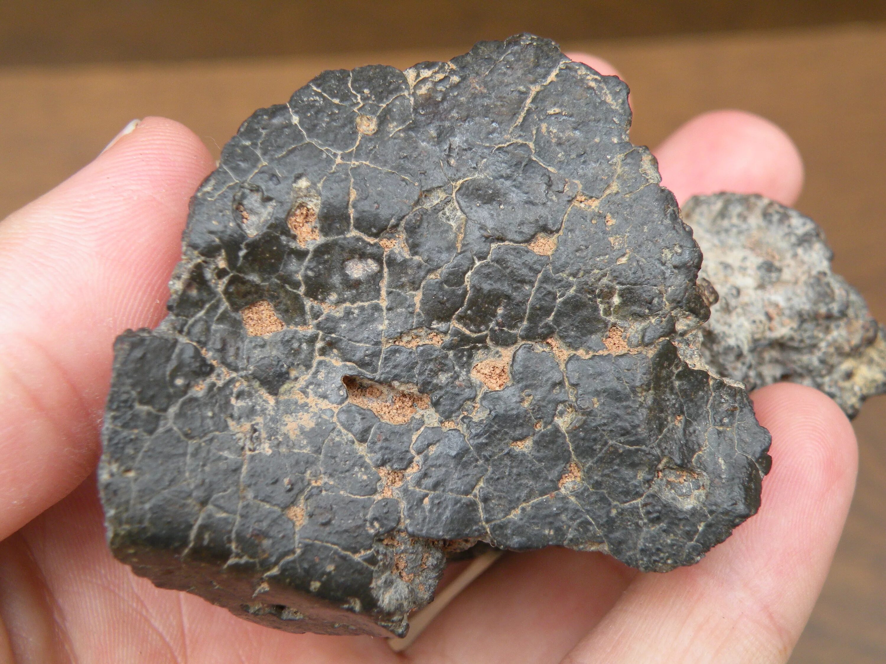 Iron stone. Каменный метеорит h5. Метеорит говардит. Каменный метеорит ахондрит. Stony-Iron Meteorite.