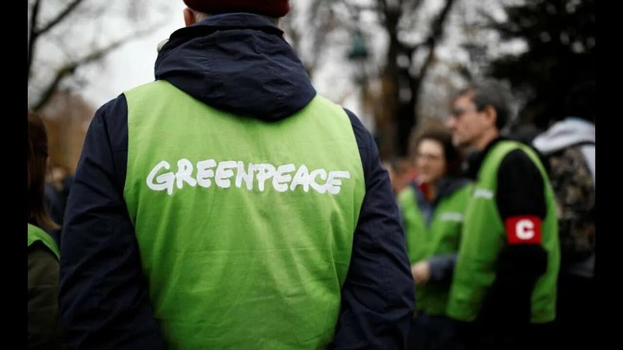 Гринпис мем. Гринпис. Гринпис фото. Гринпис. Join greenpeace.
