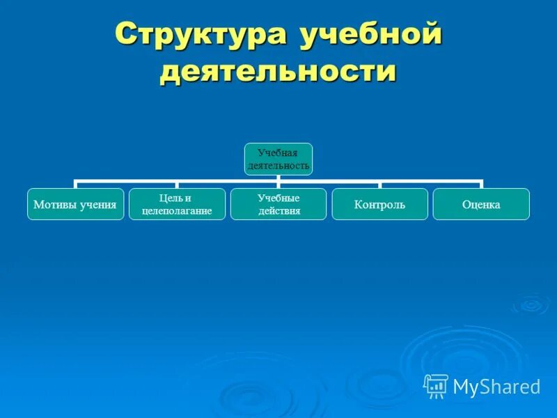 Учебная деятельность и ее организация. Структура учебной деятельности. Структура учебной мотивации. Структура мотивов учебной деятельности. Структура учебной деятельности схема.