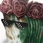 Двачб. Двачб. Зеро 2 милый во франксе. Общение силуэт. Двачб.