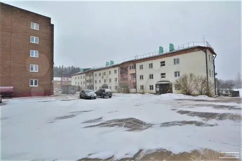 Солнечный шаховская