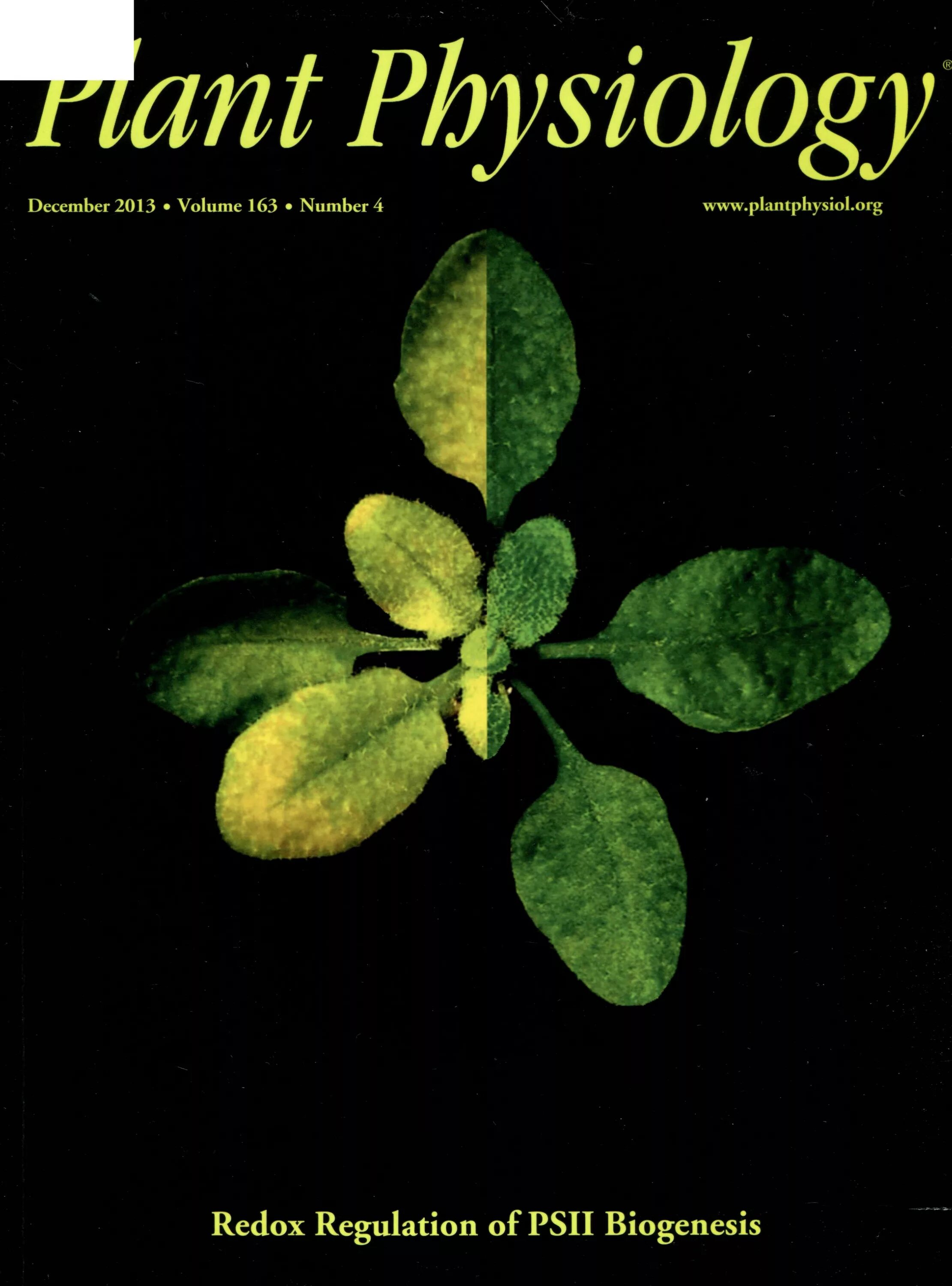 Plant physiology. Физиология растений. Ecological Physiology of Plants. Physiology of Plants the best book. Biophysical Plant Physiology and ecology book pdf.