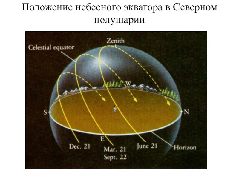 Небесный Экватор. Экватор астрономия. Движение солнца. Расположение солнца по.широтам. Самый длинный день в северном полушарии бывает