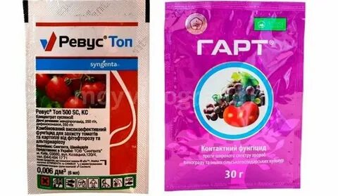 Ревус инструкция по применению