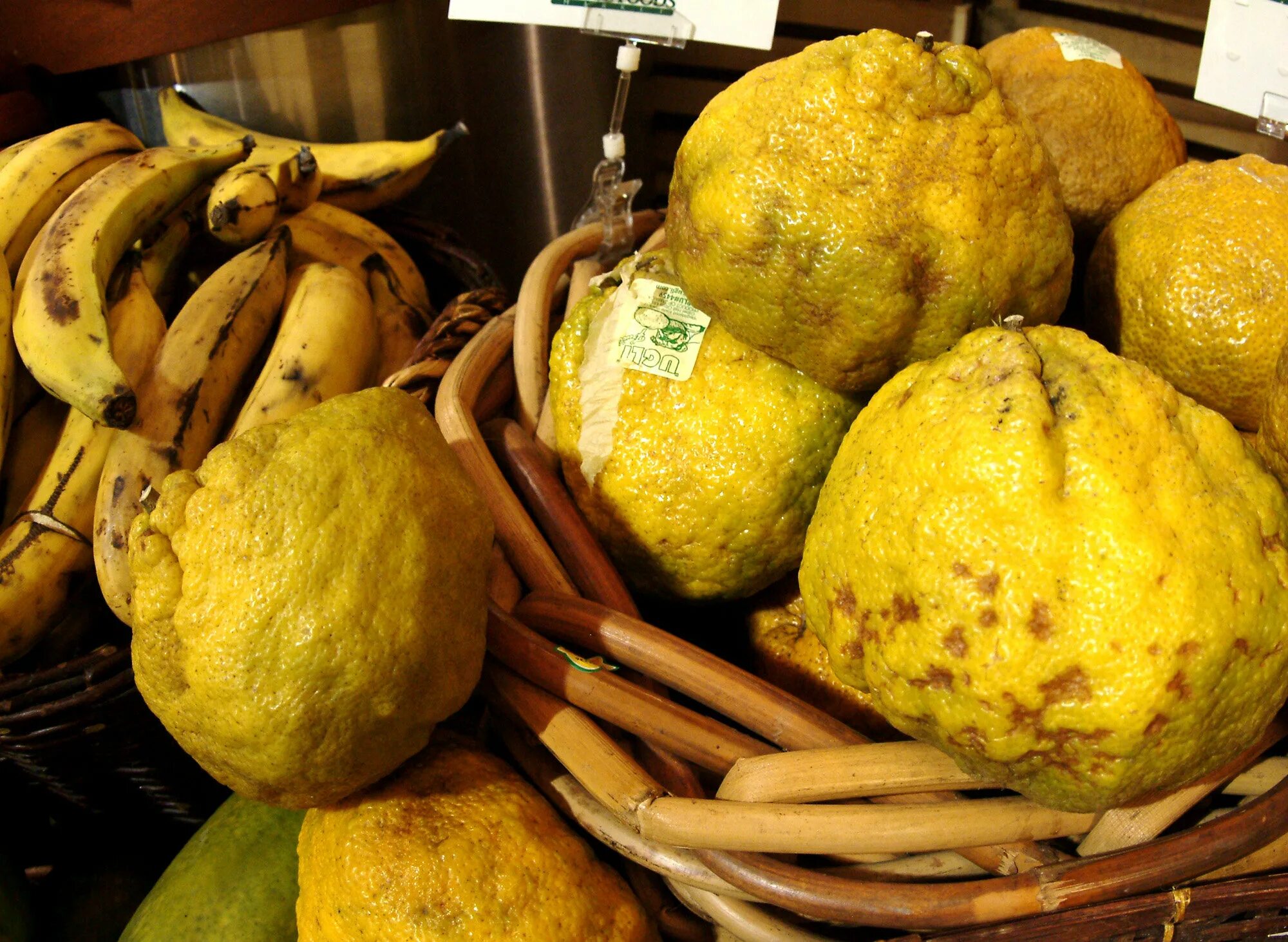 Агли цитрус. Агли (углифрут). Гибриды фруктов и овощей. Ugli Fruit.