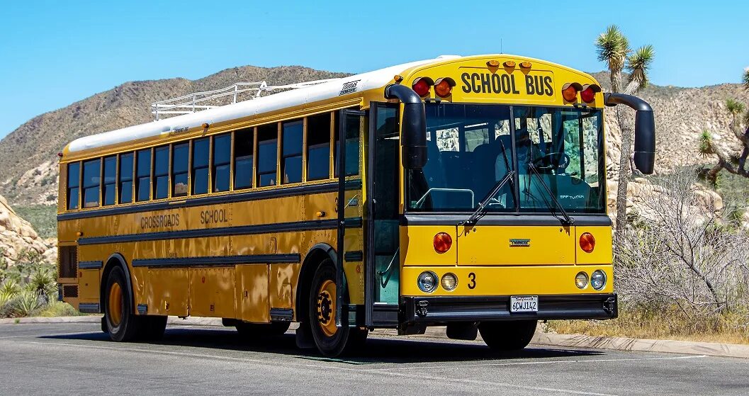 Bus if