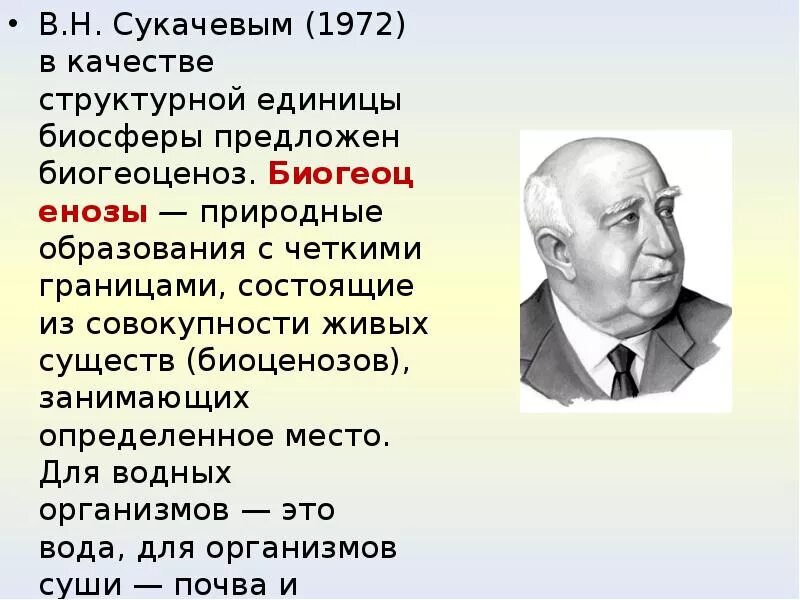 Н сукачев вклад в развитие экологии. Биогеоценоз сукачев владимир николаевич. в н сукачев вклад в биологию. сукачев владимир николаевич вклад. владимир николаевич сукачёв российский географ.