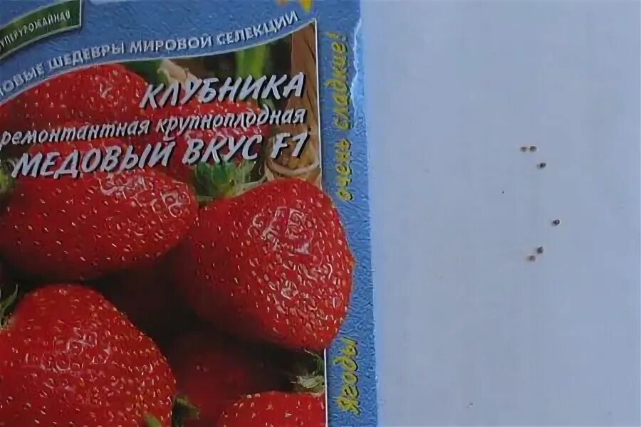 Клубника семена зим. Клубника семена зим. Семена клубники ремонтантной. Клубника семена зим. Клубника крупноплодная сашенька f1.
