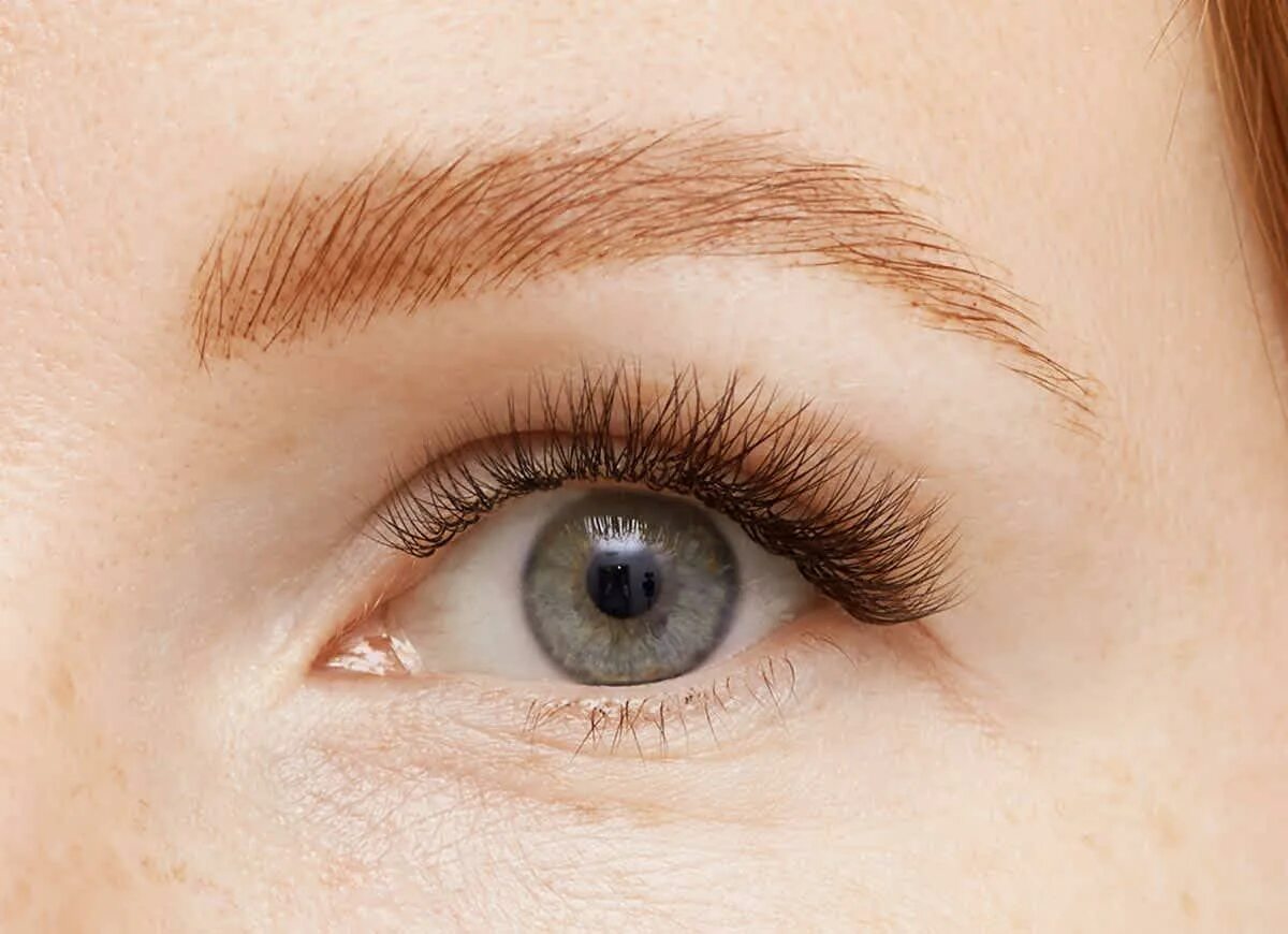 Ресницы цвета горький шоколад Lashes