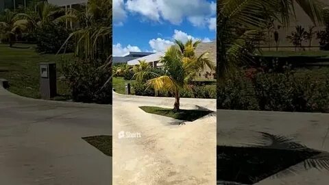 Paredon playa hermosa отзывы