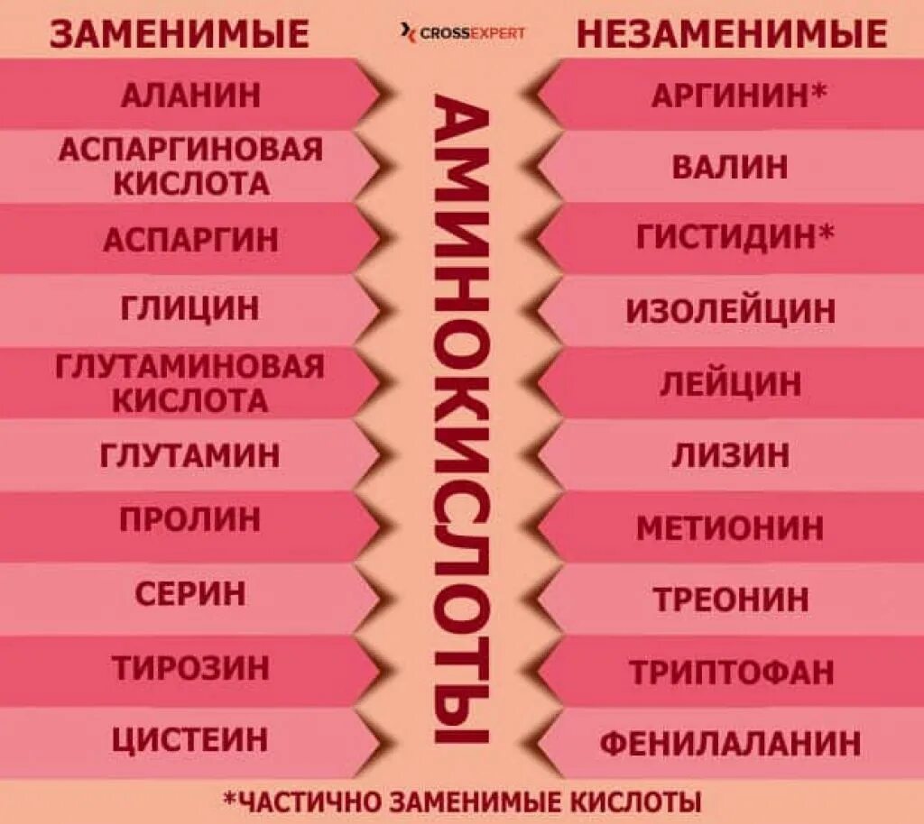 11 незаменимых аминокислот. Заменимые и незаменимые аминокислоты таблица. замени ые и незаменимые аминокислоты. щаменимые и не заменимые амино. аминоксилоты замен мые и нещаменивые.