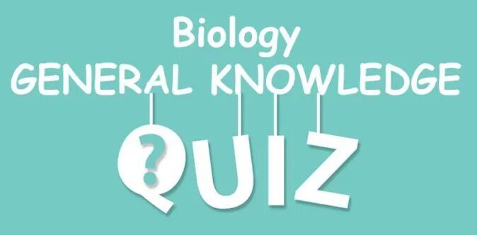 Make a quiz. Квиз. quiz картинка. логотип квиза. квиз игра значок.