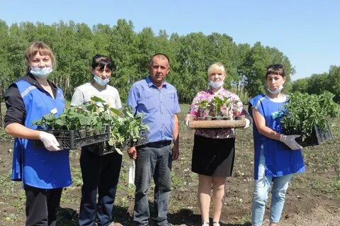 Совхоз алтайский алтайский край