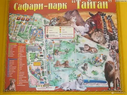 Как добраться до тайган парка