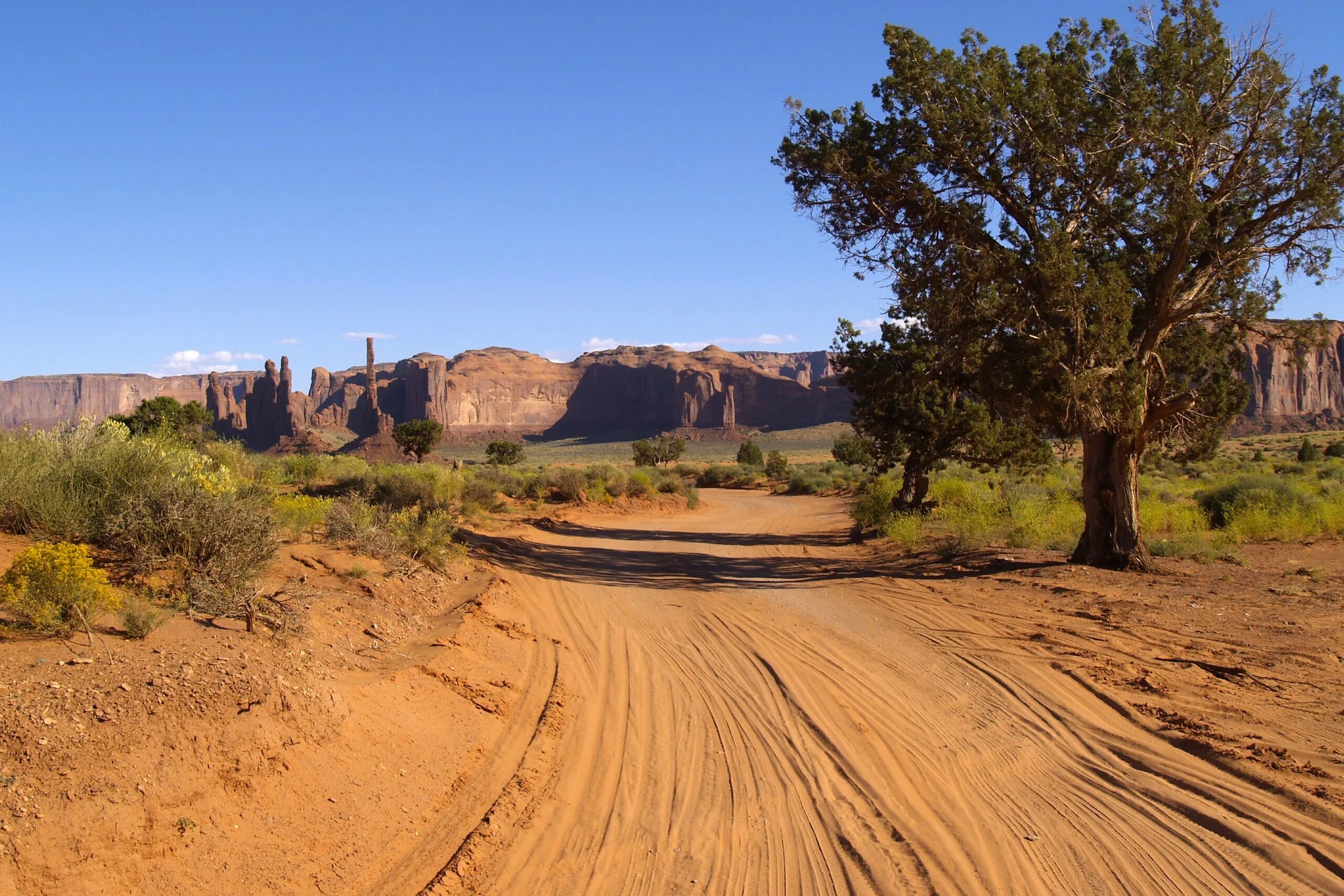Долина монументов США дорога. Штат Юта песчаные столбы. Пустыни. Дерево в пустыне.