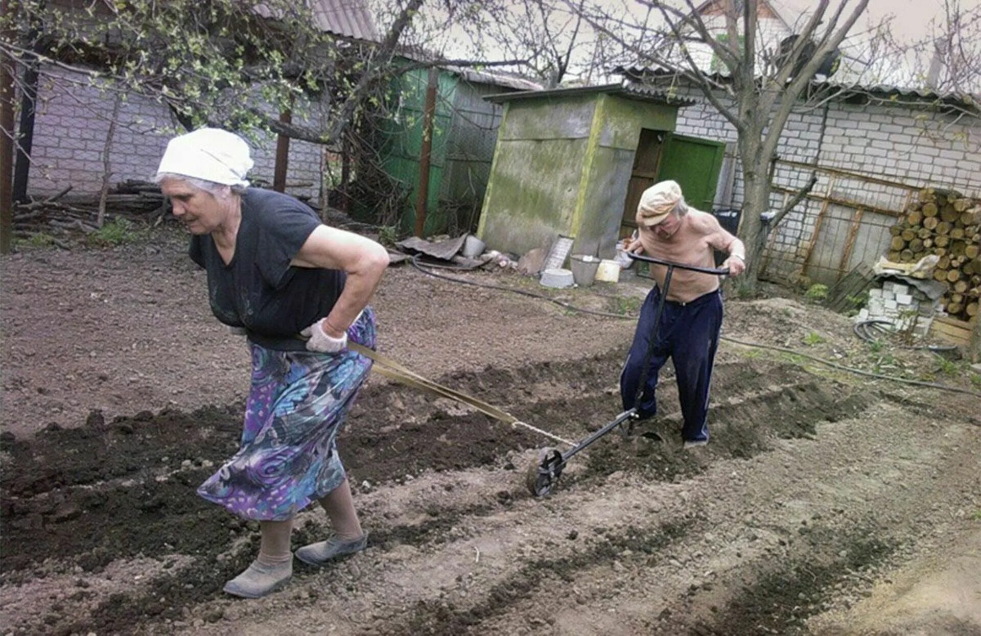 Карикатуры про дачу и дачников. Приколы про дачу. Дача юмор. Стихи про дачу прикольные. Огород юмор.