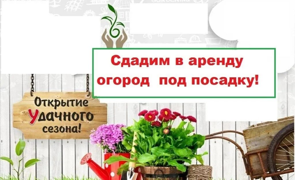 Сдам огород в аренду. Вкусный огород барнаул последние видео. Снт петушки. Сдам огород в аренду. Сдам огород в аренду.