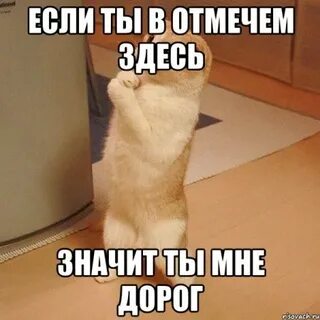 Не хочу ничего решать