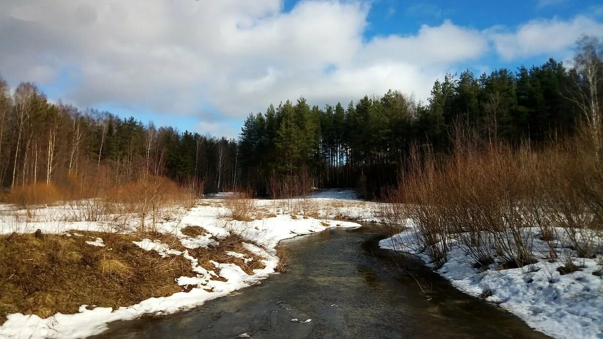 Шум бегущей воды. Весенние воды. А воды уж весной. Белеет снег. Конец весны.