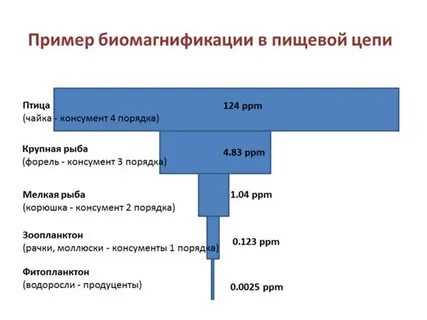Биологическое усиление