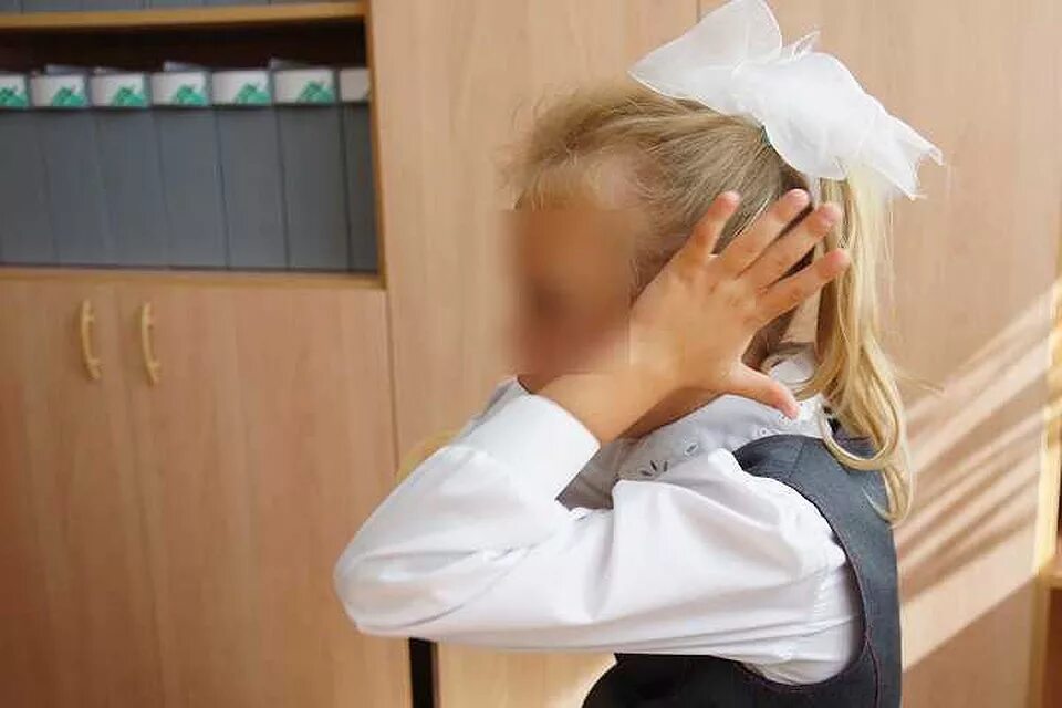 Леди диана и смайл. Мишустина анна анатольевна красноярский край. Дочка директора школы. Нина шмаглий. Отличница в школе.