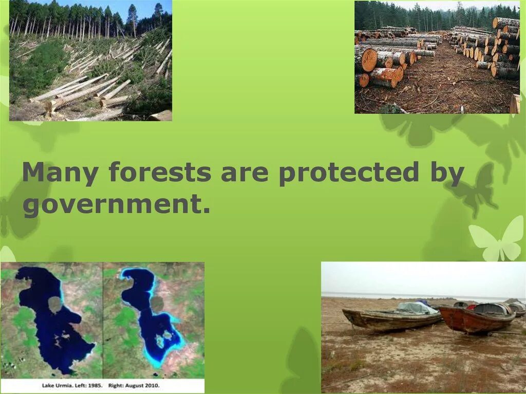 What are the most serious environmental problems. Ecological problems презентация. проблемы экологии на английском языке. ecology презентация. презентация по английскому языку на тему экология.