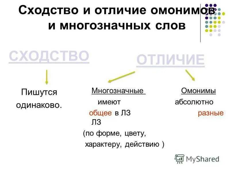 Чем отличаются многозначные слова от омонимов