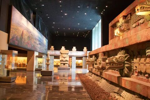 Museum anthropology