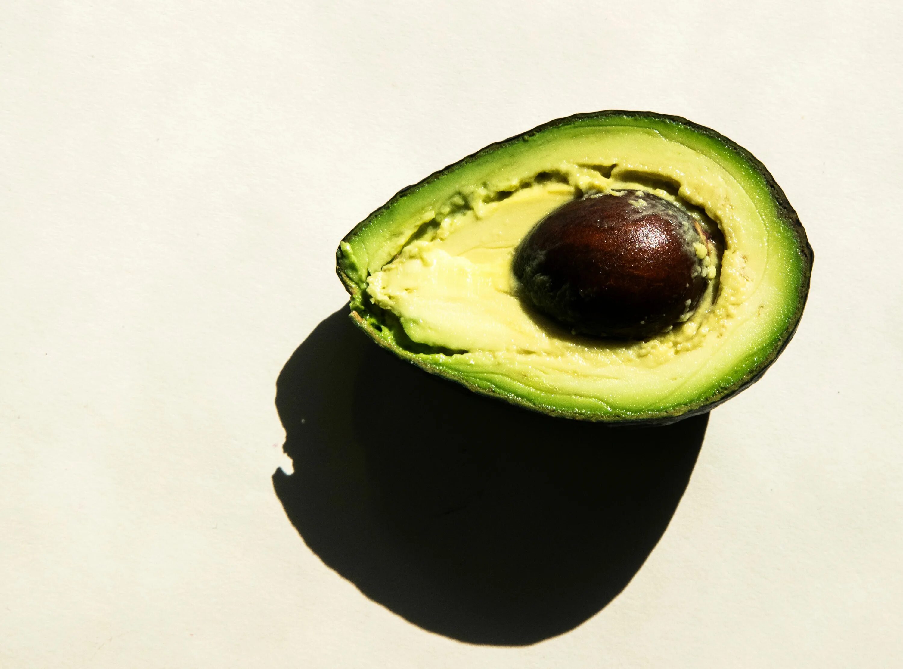 Авокадо. Милое авокадо. Авокадо на аву. Авокадо. Говорящее авокадо.