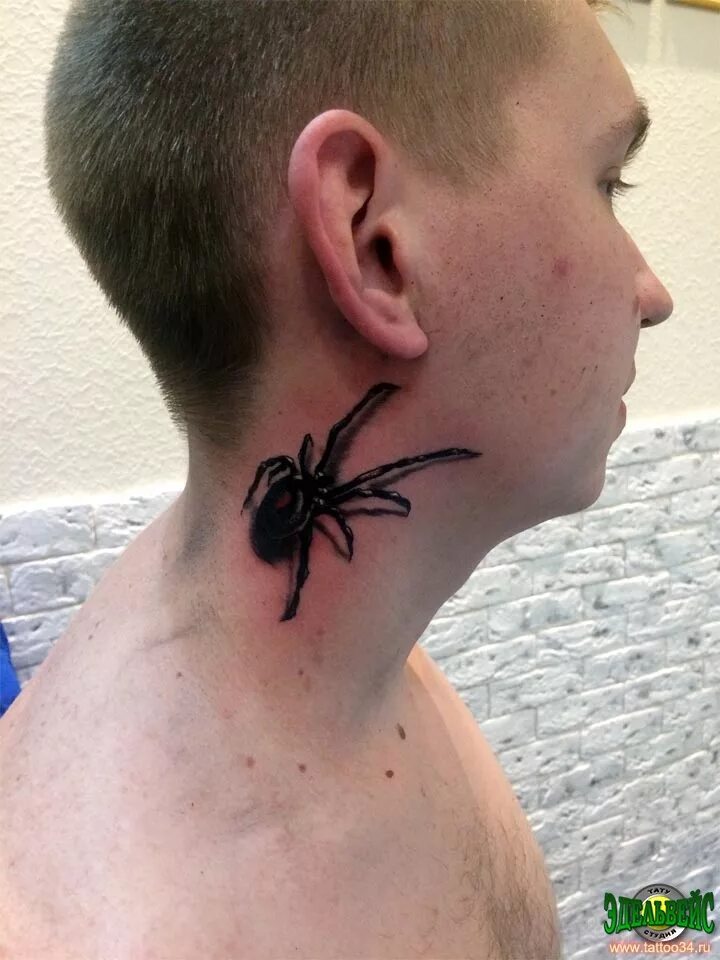 Тату черная вдова. Татуировка паук на шее. Тату паук мужские. Тату паук на шее. Тату паук мужские.