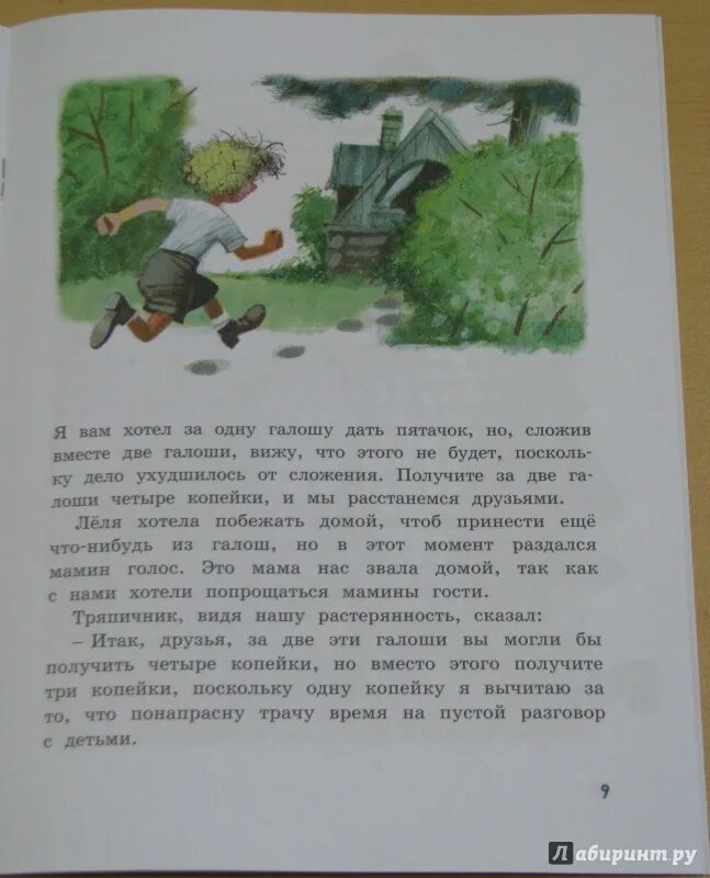 Зощенко рассказ галоша и мороженое. Книга галоша Зощенко. Зощенко галоши и мороженое главные герои.