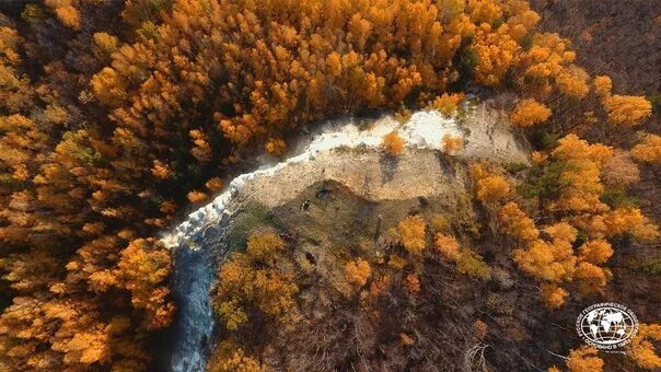 Шантарские острова киты. Фотографии конкурса самая красивая страна. Самая красивая страна фотоконкурс. Фотоконкурс рго самая красивая страна. Конкурс фотографии российского географического общества.